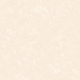 Купить Обои Polo 7134-01 в Rafi Decor