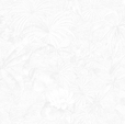 Купить Обои Tropicana 88851 в Rafi Decor