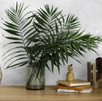 Купить Обои Golden 281267 в Rafi Decor