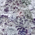 Купить Фотообои 8-962_Shades_ma в Rafi Decor