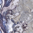 Купить Обои Sicilia 889414 в Rafi Decor