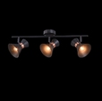 Cumpăra Spot Felicita LP731-3W la Rafi Decor