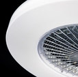 Cumpăra Plafoniera Fan FL595-D55 la Rafi Decor