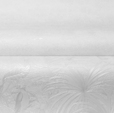 Купить Обои Tropicana 88851 в Rafi Decor
