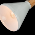 Cumpăra Spot Lemnos LP756-3W la Rafi Decor
