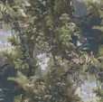Cumpăra Tapet History of Art 37652-2 la Rafi Decor