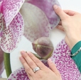 Купить Стикер 17702 Orchidee в Rafi Decor