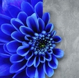 Купить Обои Vision 76049 в Rafi Decor