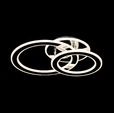 Купить Люстра Disco FL579-2C в Rafi Decor