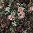 Купить Фотообои 8-980 Velvet в Rafi Decor