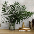 Cumpăra Tapet Golden 281263 la Rafi Decor