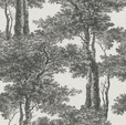 Купить Обои PASSEPARTOUT 605419 в Rafi Decor