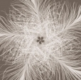 Купить Фотообои XXL4-006_Federstern_m в Rafi Decor