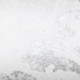 Купить Обои Lorenzo 406618 в Rafi Decor