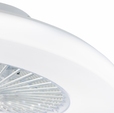 Cumpăra Plafoniera Fan FL595-D55 la Rafi Decor