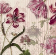 Cumpăra Fototapet 8-510 Merian la Rafi Decor