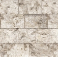 Купить Фотообои 8-740 Bjork в Rafi Decor