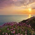 Купить Фотообои 8-901 Land s End в Rafi Decor