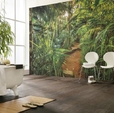 Купить Фотообои 8-989 Jungle Trail в Rafi Decor