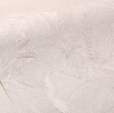 Купить Обои Tropicana 88854 в Rafi Decor