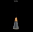 Cumpăra Suspensie Scandiv LP5019-1P la Rafi Decor