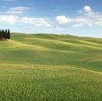 Купить Фотообои 4-715 Tuscany в Rafi Decor