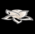 Купить Люстра Star FL593-5C в Rafi Decor