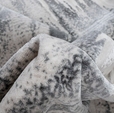 Cumpăra Covor Aysil 200 x 290 11604A_A1434 Cream/ Grey la Rafi Decor