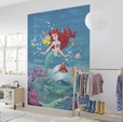 Купить Фотообои 4-4020 Ariel Singing в Rafi Decor