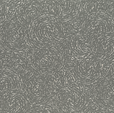 Купить Обои Varvara 920420 в Rafi Decor