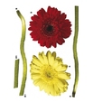 Купить Стикер 17011 Gerbera в Rafi Decor