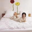 Купить Стикер 17011 Gerbera в Rafi Decor