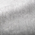 Купить Обои Cava 281097 в Rafi Decor