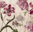 Cumpăra Fototapet 8NW-510 Merian la Rafi Decor