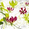 Cumpăra Fototapet 8-899 Gloriosa la Rafi Decor
