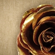 Купить Обои Vision 76002 в Rafi Decor