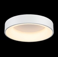Cumpăra FL631-D45C Plafoniera Plice la Rafi Decor