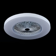 Cumpăra Plafoniera Fan FL595-D55 la Rafi Decor