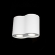 Cumpăra Spot Downlight LP854-2C la Rafi Decor