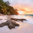 Купить Фотообои XXL4-048 Nature в Rafi Decor