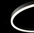 Cumpăra Lustra Ledi Black FL610-2C la Rafi Decor