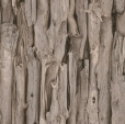 Cumpăra Tapete African Queen II 473223 la Rafi Decor