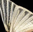 Cumpăra LP5079-1T Veioza Chic la Rafi Decor