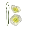 Cumpăra Stiker 17022 Orchidee la Rafi Decor