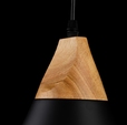 Cumpăra Suspensie Scandiv LP5020-1P la Rafi Decor