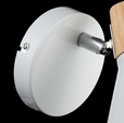 Cumpăra Aplica Lemnos LP756-1W  la Rafi Decor