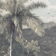 Купить Фотообои R2-006 The Exotic Land в Rafi Decor