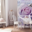 Купить Фотообои XXL2-020 Delicate Rose в Rafi Decor