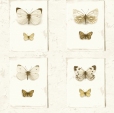 Купить Обои SPLENDOR sd2002 в Rafi Decor