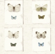 Купить Обои SPLENDOR sd2022 в Rafi Decor